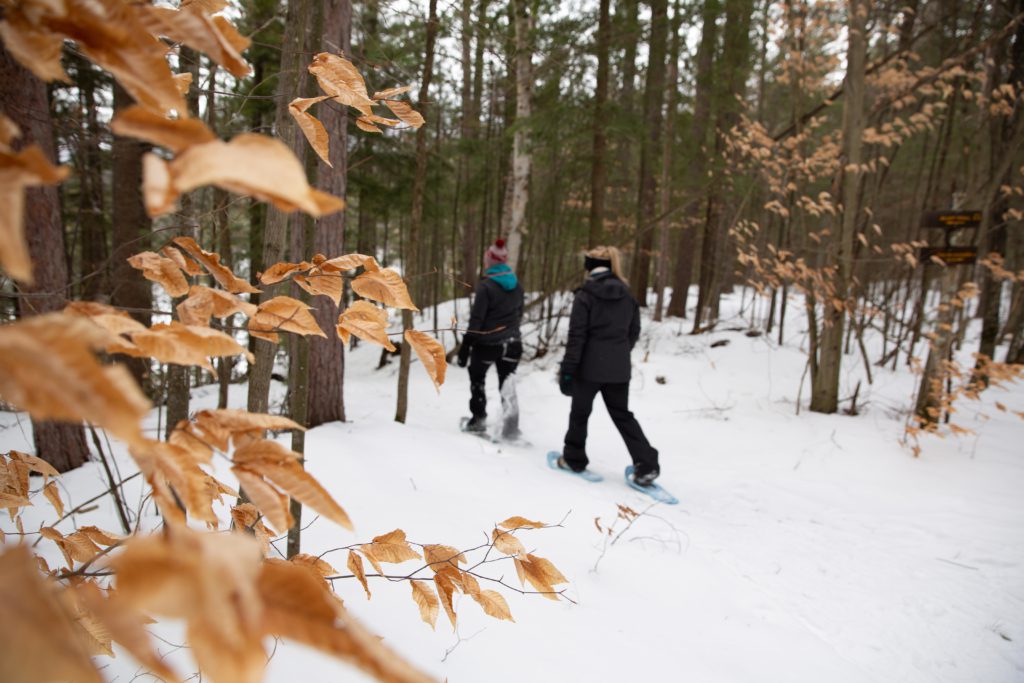 snowshoe the Flume Trail