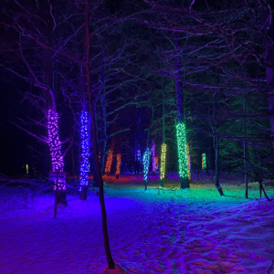 Visit Wild Lights during the holiday season
