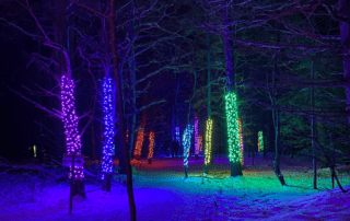 Visit Wild Lights during the holiday season