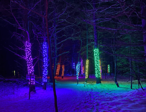 Kid Friendly Winter Events
