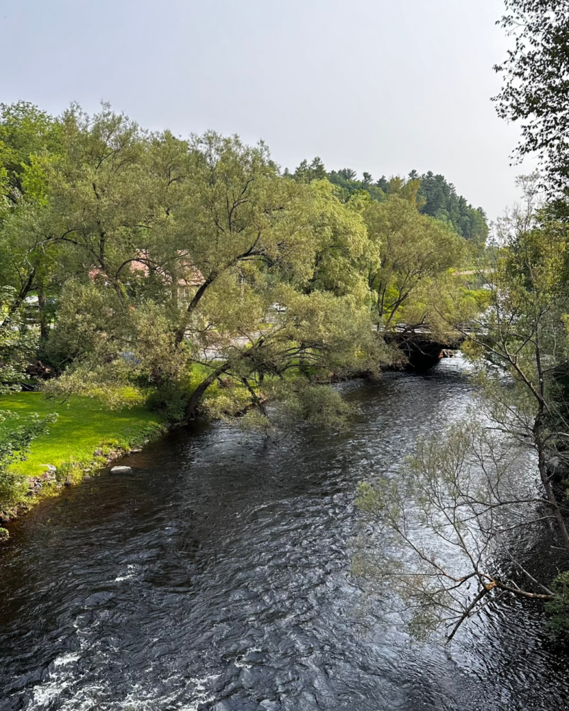 Spring is a beautiful time to walk the Adirondack Rail Trail