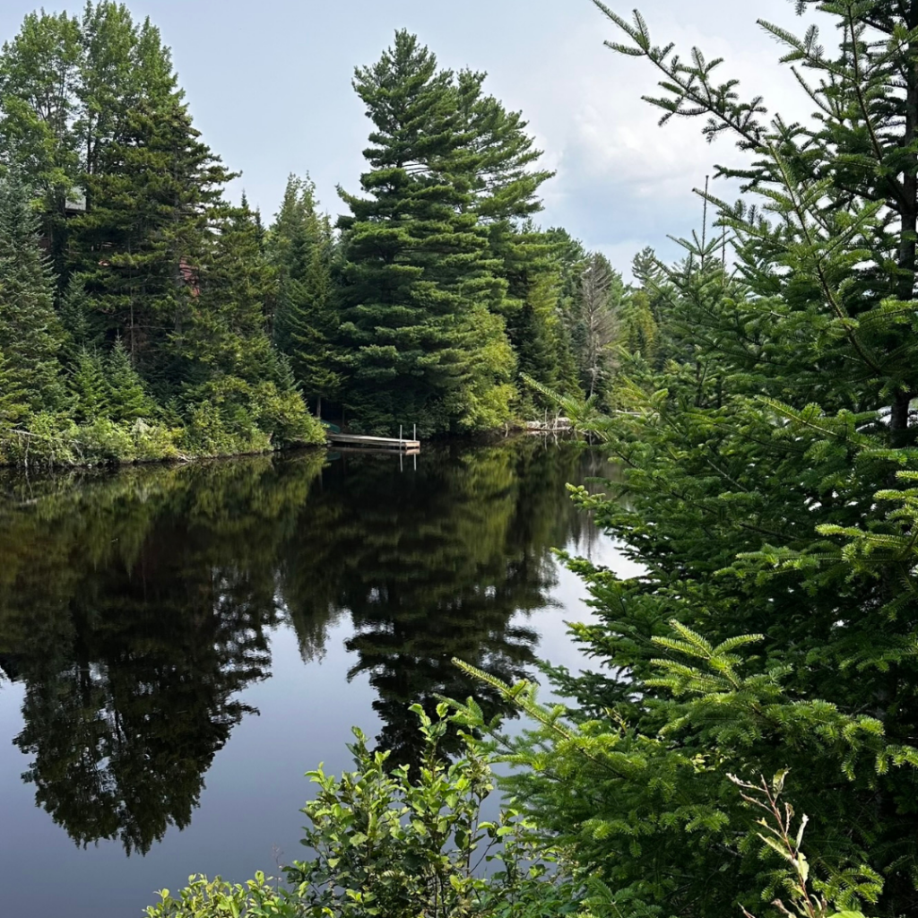 See views of the Chubb River when you explore the Adirondack Rail Trail