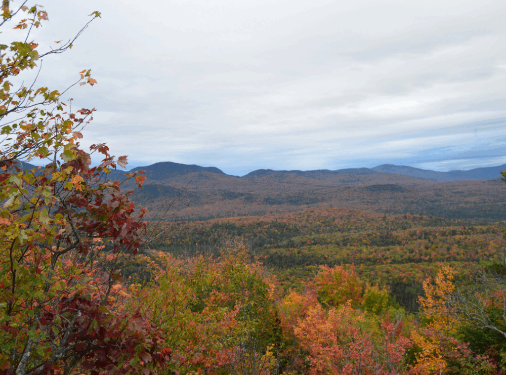 Hike Cobble Mountain this fall for stunning views