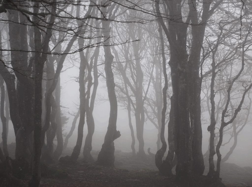 Check out these nine spooky stops from Big Moose to Speculator.