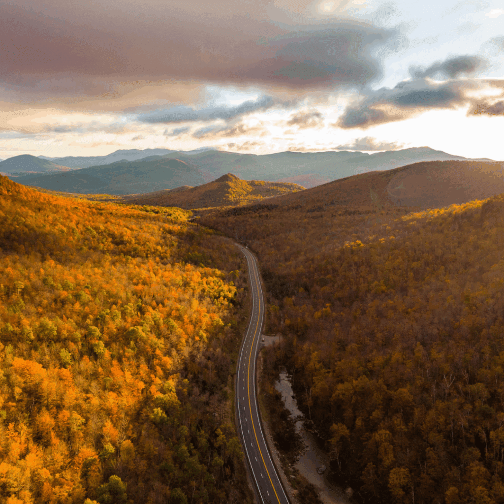 Stunning foliage in the cascades