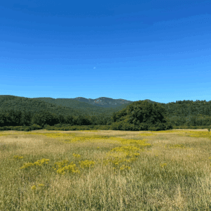 Spend a day in keene and keene valley