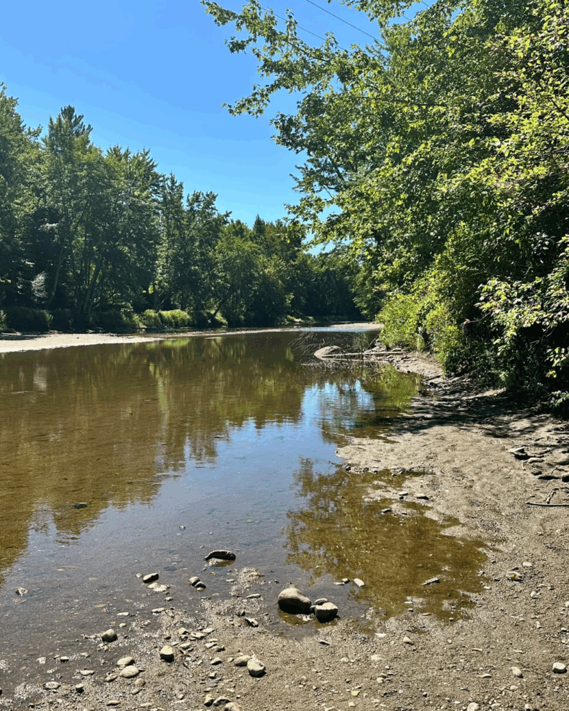 Take a dip in the Marcy Field Baignade