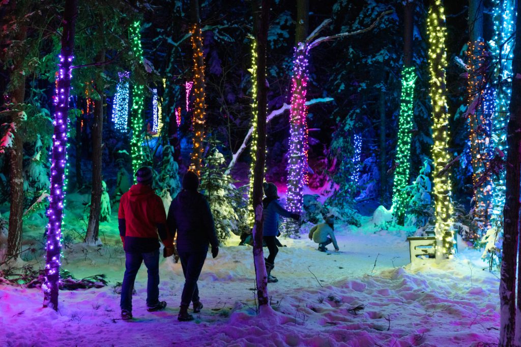 Explore the Wild Lights this winter in Tupper Lake