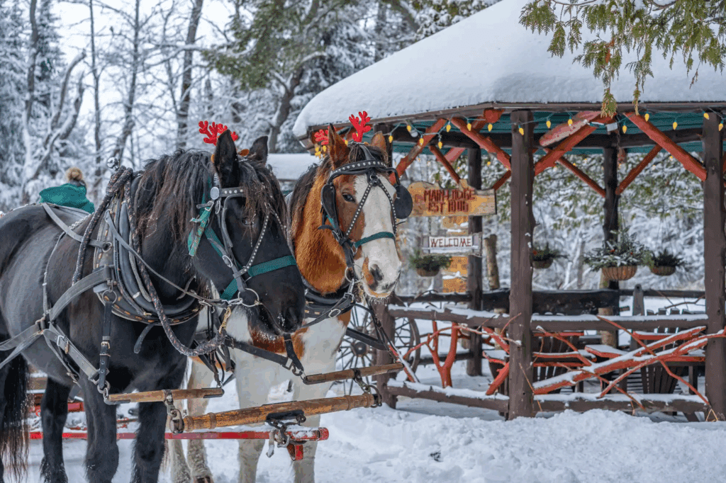 Visit the Adirondacks this winter for a Sleigh Ride