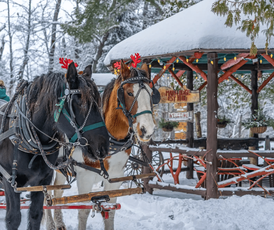 perfect date night idea includes a sleigh ride in lake clear