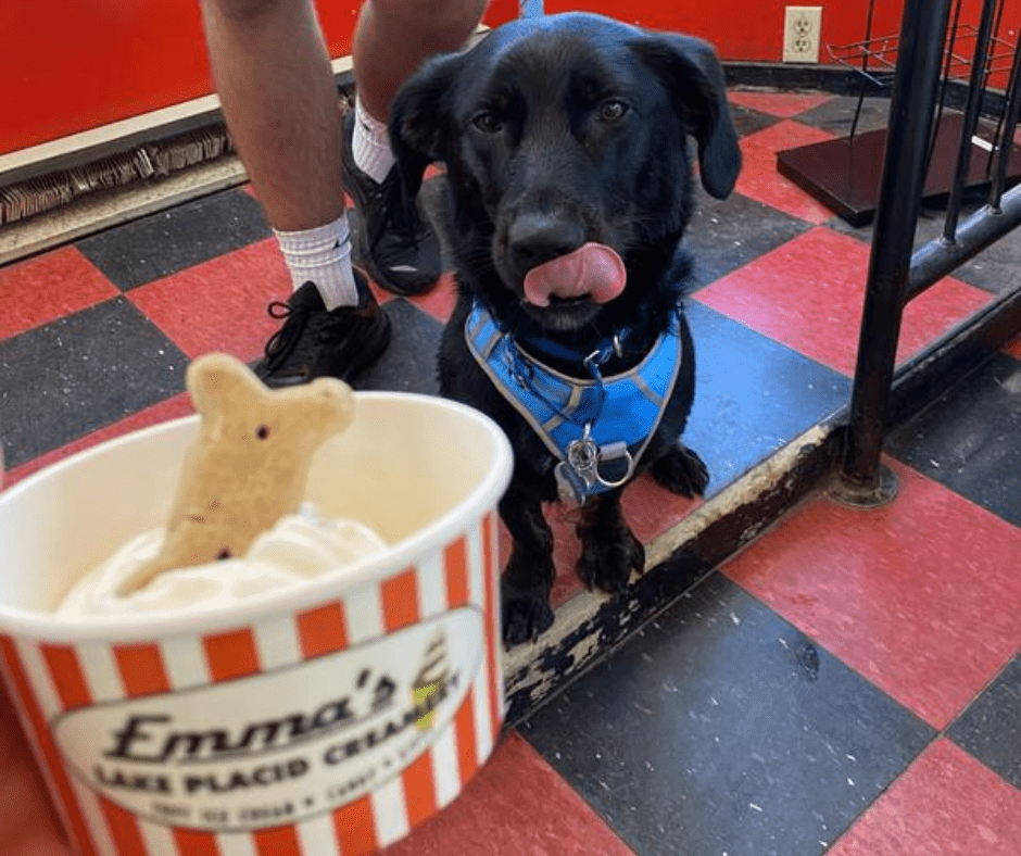 Emma's Lake Placid Creamery offers ice cream for you dog