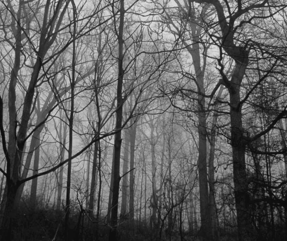 Adirondack Folklore: Ghosts, Legends & Strange Mountain Stories