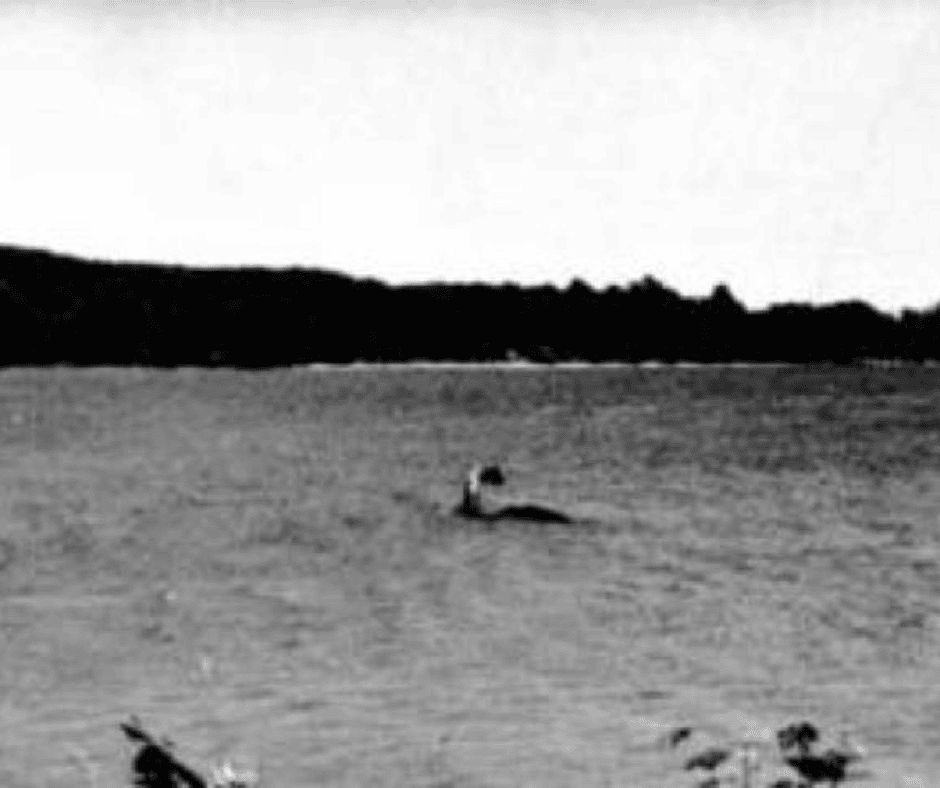 Dive into the story of Champ the cryptid said to inhabit the 125-mile-long Lake Champlain