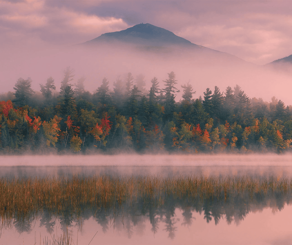 Fog over the lake in the fall