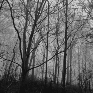Adirondack Folklore: Ghosts, Legends & Strange Mountain Stories