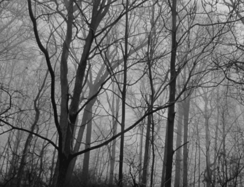 Adirondack Folklore: Ghosts, Legends & Strange Mountain Stories